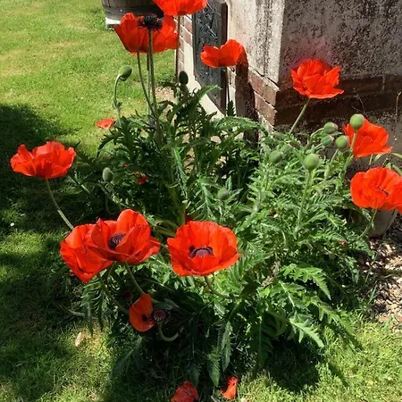 La Marokanette 民宿