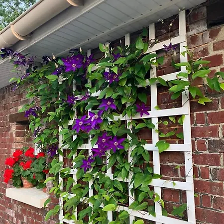 民宿 La Marokanette Saint-Maclou-de-Folleville