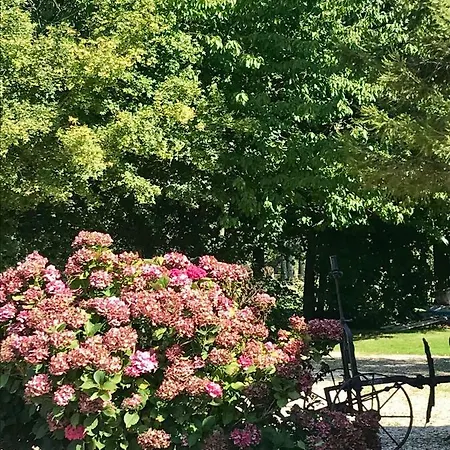 La Marokanette * Saint-Maclou-de-Folleville